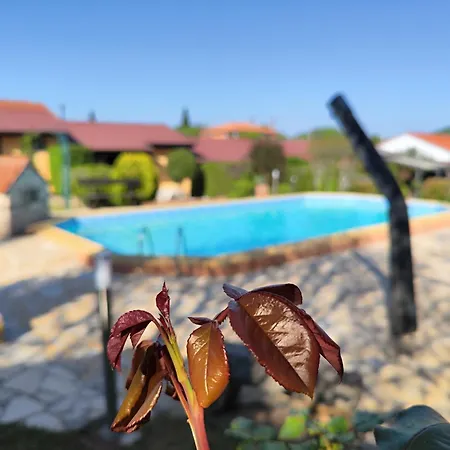 Poolside Compact Family Bella