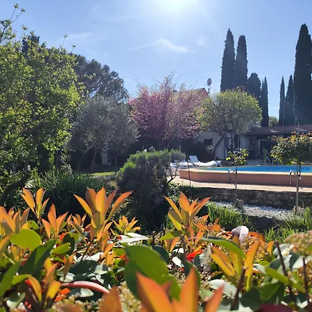 Tatil Evi Poolside Compact Family Bella *