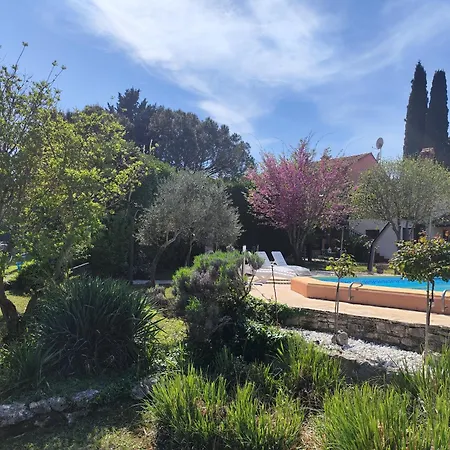 Poolside Compact Family Bella Holiday home Rovinjsko Selo